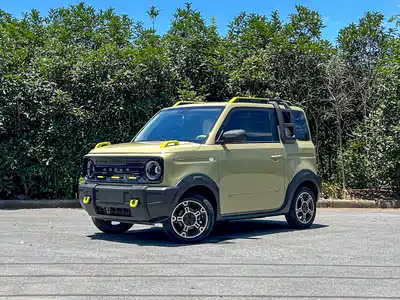 Geely Galaxy Panda 2024