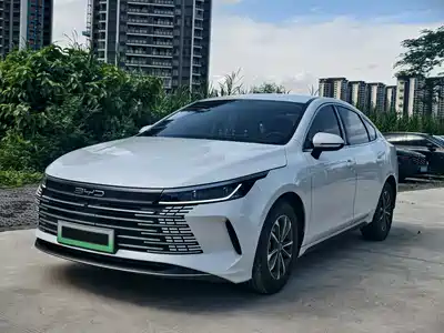 BYD Destroyer 05 2024