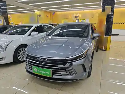 BYD Destroyer 05 2024
