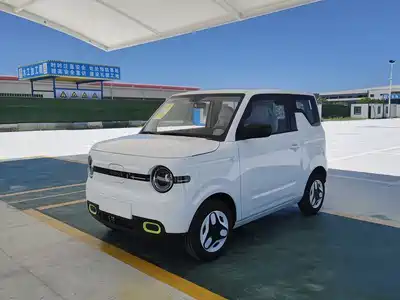 Geely Galaxy Panda 2025