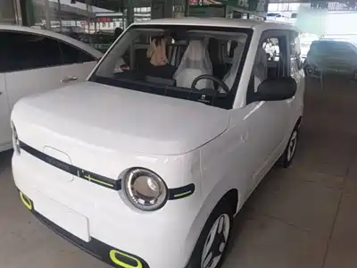 Geely Galaxy Panda 2026