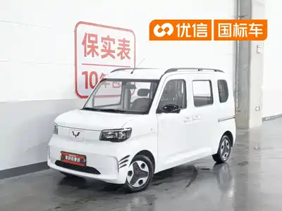 Wuling Motors Zhiguang NEV 2025