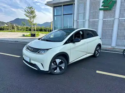 BYD Dolphin 2024