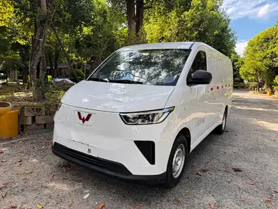 Wuling Motors Yangguang 2025