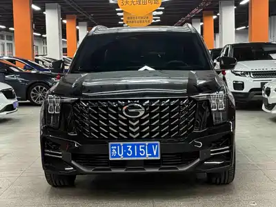 GAC Trumpchi GS8 2024