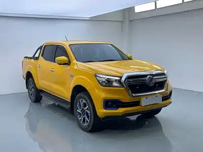 Dongfeng Rich 6 New Energy 2021