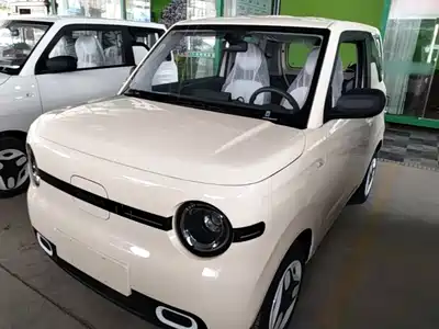 Geely Galaxy Panda 2026