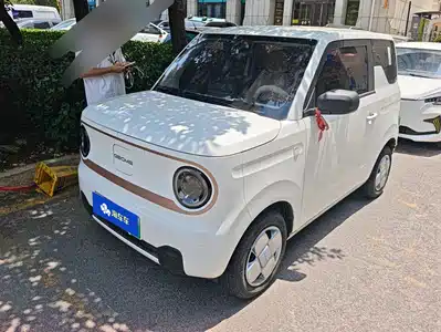 Geely Galaxy Panda 2024