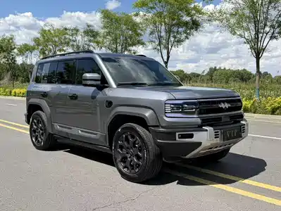 Fang Cheng Bao Leopard 5 2024