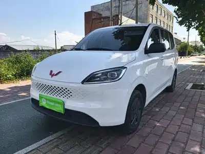 Wuling Motors Hongguang New Energy 2025