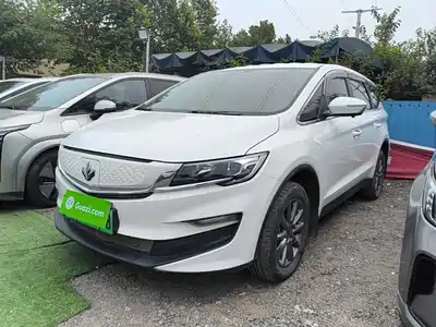 Ruilan Auto Maple 80v 2023
