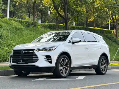 BYD Tang New Energy 2020