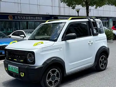 Geely Galaxy Panda 2025
