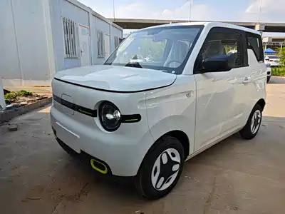 Geely Galaxy Panda 2026