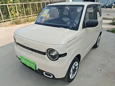 Geely Galaxy Panda 2026