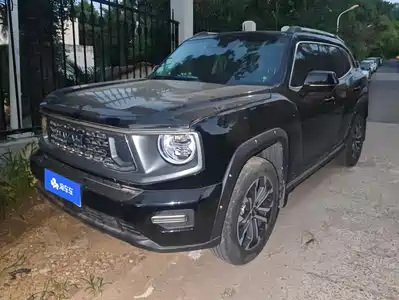 Haval Da Gou 2nd Gen 2024