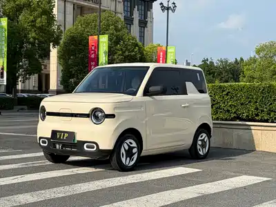 Geely Galaxy Panda 2025