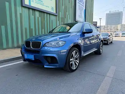 BMW X6 M 2010