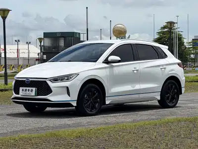 BYD e2 2021