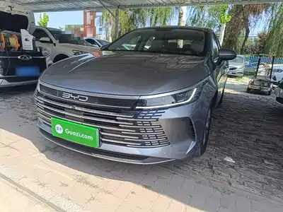 BYD Destroyer 05 2024
