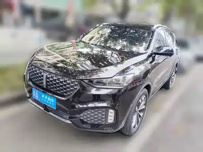 WEY VV6 2020