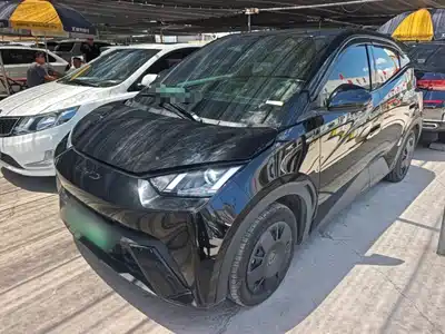 BYD Seagull 2024