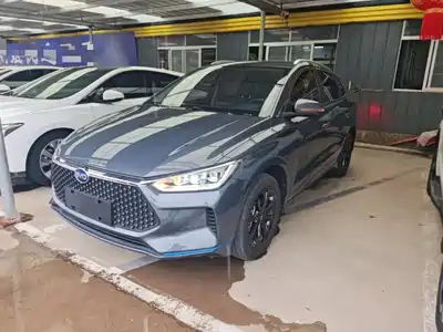 BYD e2 2020