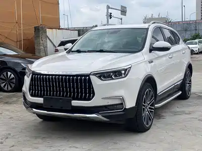 Leopaard Mattu 2018