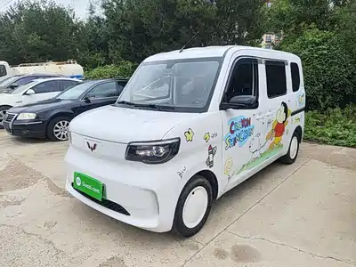 Wuling Motors Zhiguang NEV 2025