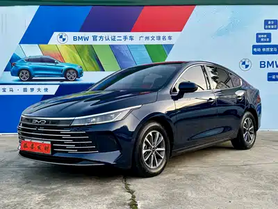 BYD Destroyer 05 2024