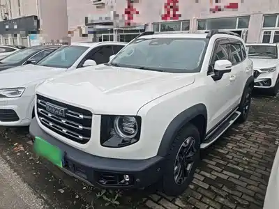 Haval Big Dog 2021
