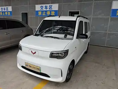Wuling Motors Zhiguang NEV 2025