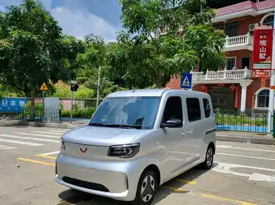 Wuling Motors Zhiguang NEV 2025