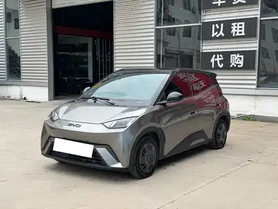 BYD Seagull 2024