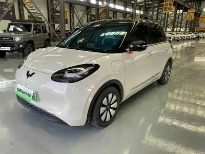 Wuling Motors Bingo 2023