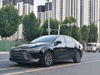 BYD Destroyer 05 2024