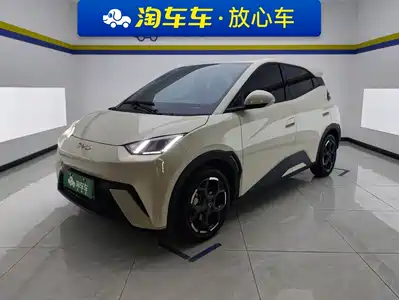 BYD Seagull 2024