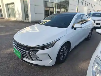 BYD Destroyer 05 2024