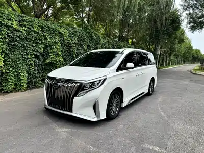 GAC Trumpchi M8 2021