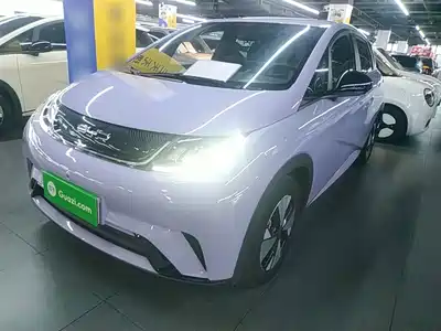 BYD Dolphin 2024