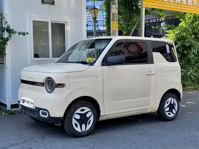Geely Galaxy Panda 2025