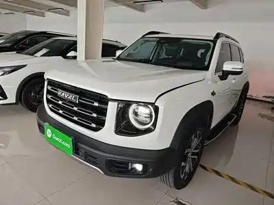 Haval Big Dog 2021