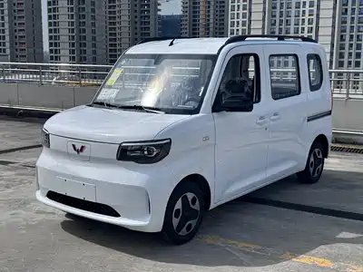 Wuling Motors Zhiguang NEV 2026