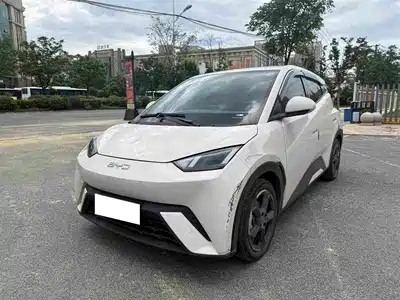 BYD Seagull 2024