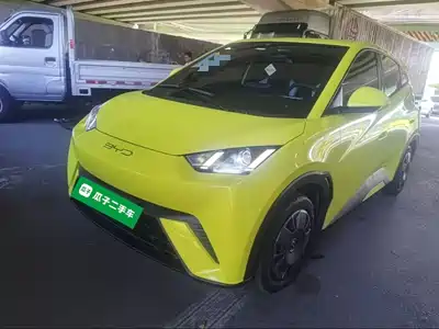 BYD Seagull 2024