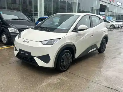 BYD Seagull 2026
