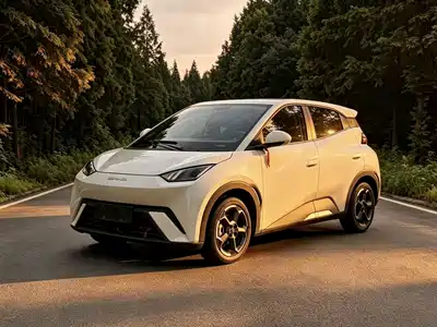 BYD Seagull 2024