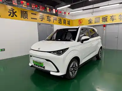 QQ New Energy Duomi 2025