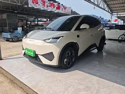 BYD Seagull 2025