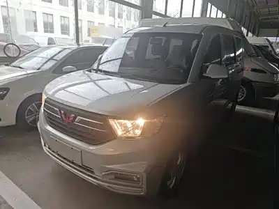 Wuling Motors Hongguang V 2024